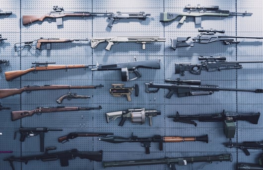 Eleventh Circuit Conservatives Split on Gun Sales to Young Adults: Pryor v. Brasher in NRA v. Bondi